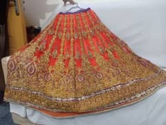 Beautiful fancy lehenga