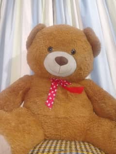 larg size teddy bear