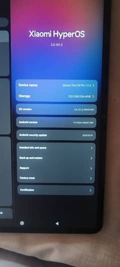xiaomi pad 6s pro 12.4 inches