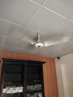 Used Fan for sale
