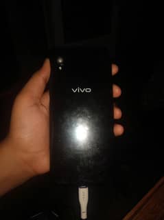 vivo