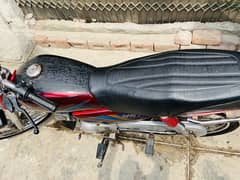 WhatsApp Number 03176065171