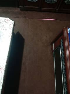 carpet