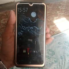 vivo