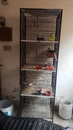 cage with birds