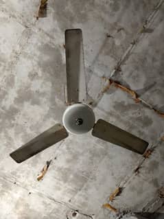 100% copper fan