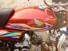 all punjaab purchase date 31 December 2020