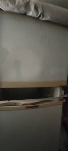 dolanc ka fridge h full size