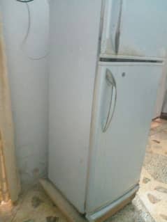fridge
