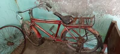 cycle
