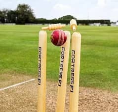 stumps