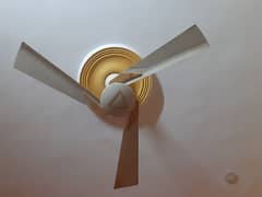 2 GFC capacitor ceiling fan (fancy design)