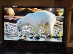 LCD for sale
