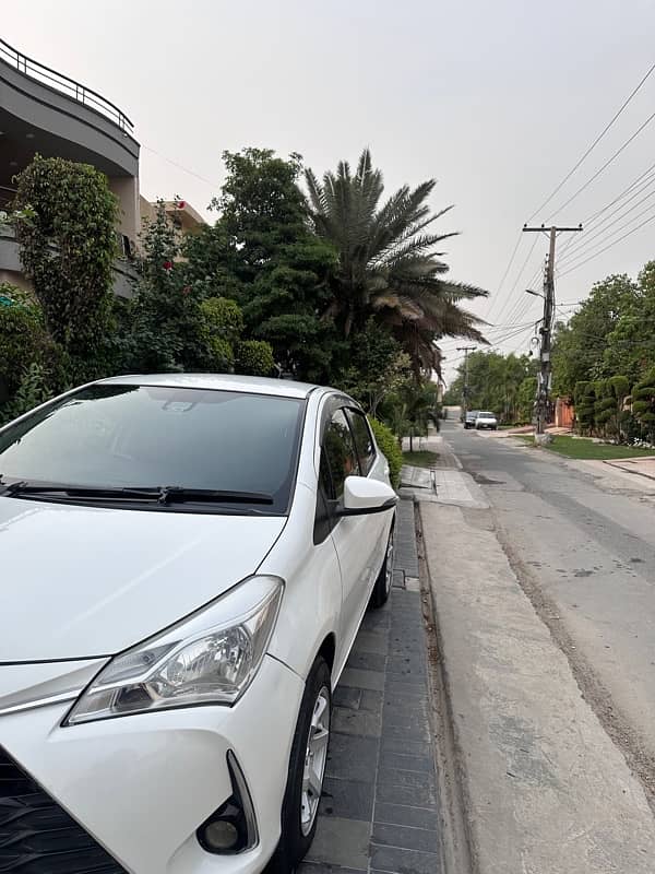 Toyota Vitz 2019 Model 5