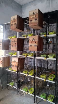 cages