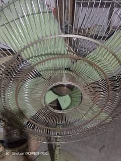 jenion Coper Pedestal Fan