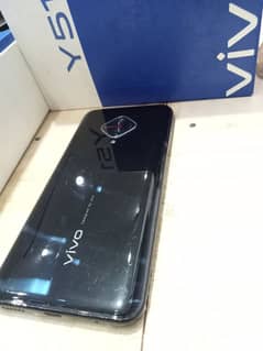vivo