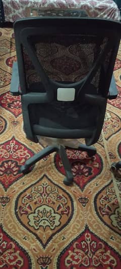 Executive Chair for Sale