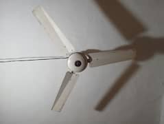 Fan hmna new liya han is vja sa sell krna han bilko thk chlta han