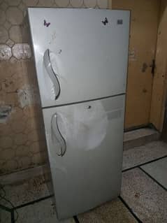 full size LG