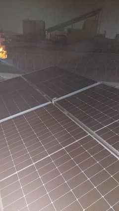 solar panel jinko 550W N-type