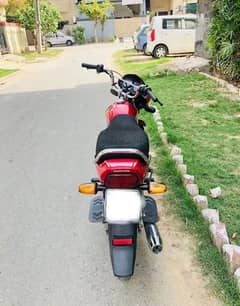 lush condition Honda 70 dream