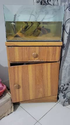 aquarium