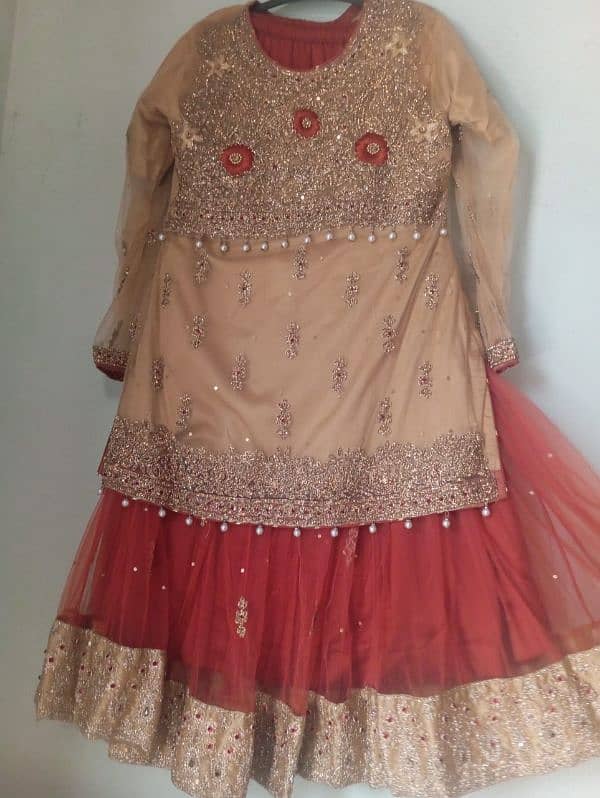 Sharara suit 2