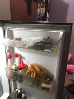 dawlance fridge