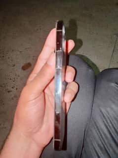 12 pro