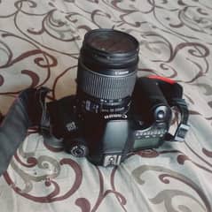 DSLR