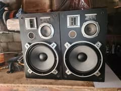 Pioneer