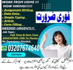 Online work Assignment writing Data Entry Content writing M/F