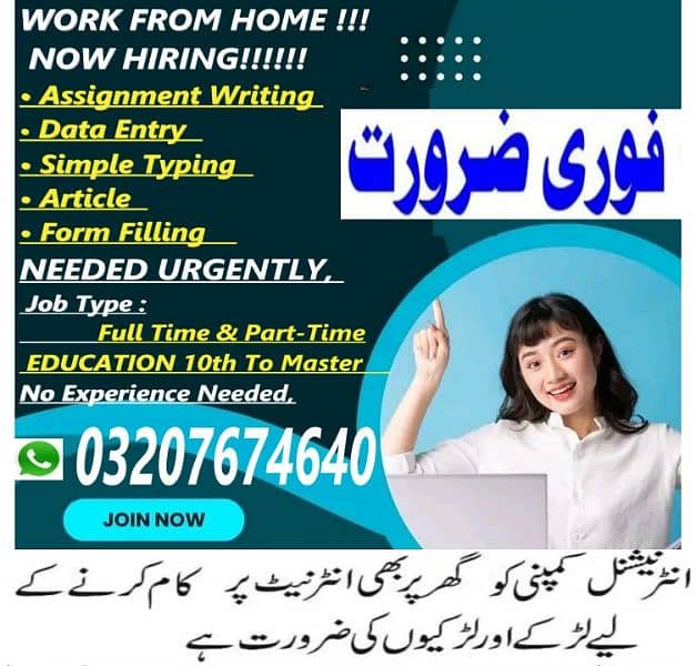 Online work Assignment writing Data Entry Content writing M/F 0