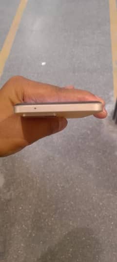 F21 pro
