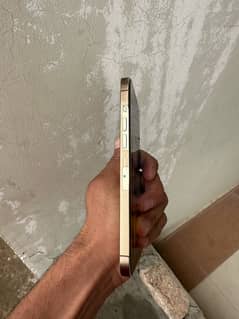 13Pro