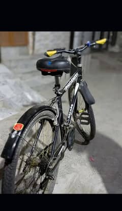 pohnxs 26 inch
