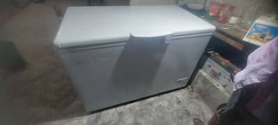 Haier