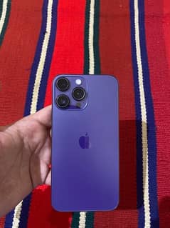 xr convert to 14 promax