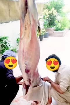EID ul adha  expert Butcher in Rawalpindi 2025