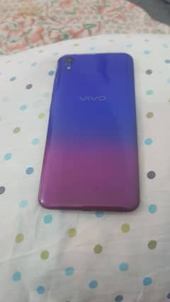 vivo