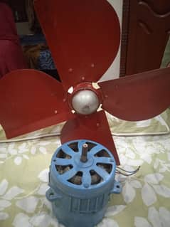 New