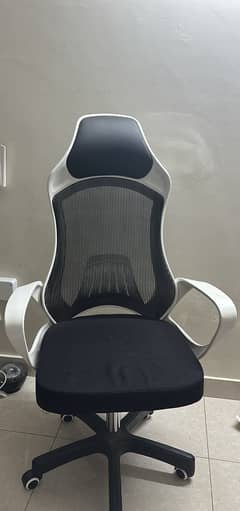 Ergo chair for office study