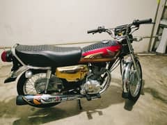 salf start bike 2024 modal fst hand