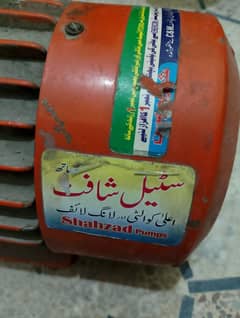 sahzad pump