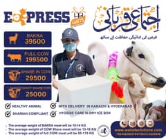Qurbani