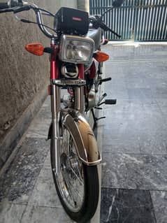 Union Star 70cc 2025
