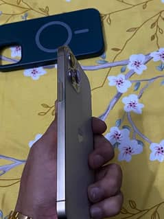 12 Pro Max 256GB HK