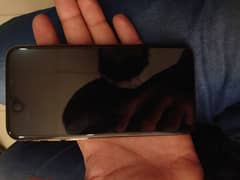 256gd