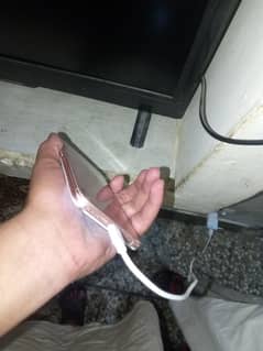 03150699363